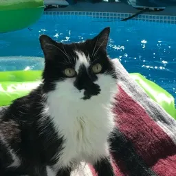 COCO